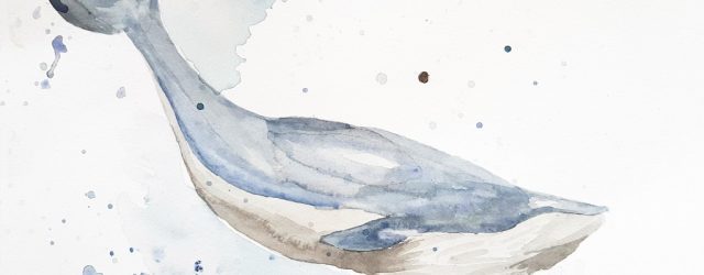 Nybörjarförsök att måla valar i akvarell
